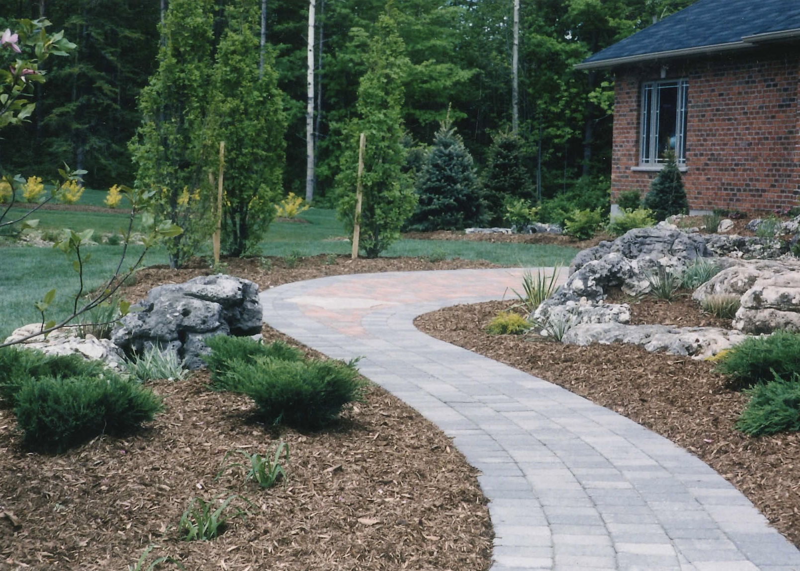 Installed winding concrete paver walkway