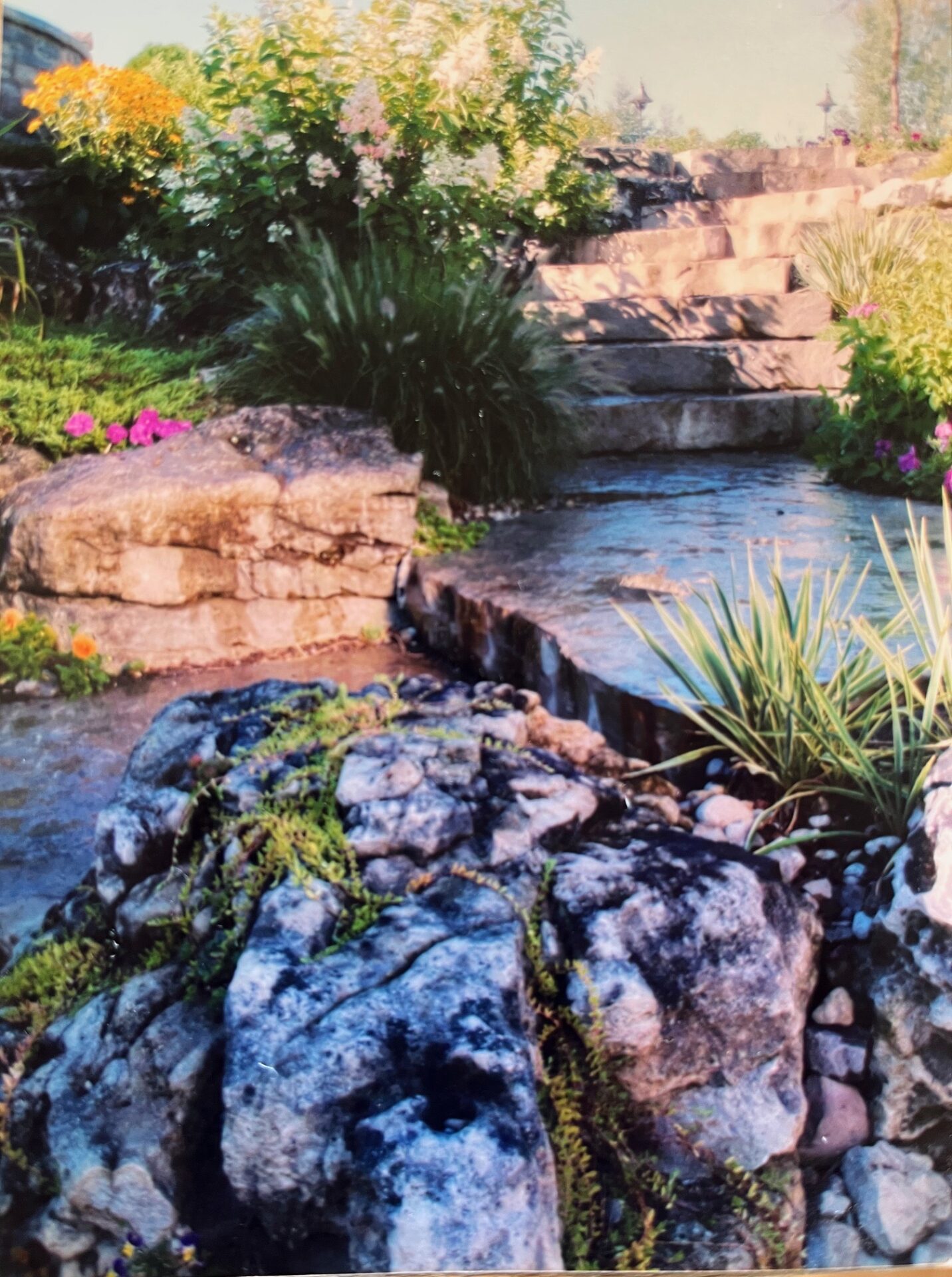 Rockery waterfall with a pond and flowers blooming